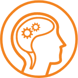 Brain Support