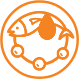 Omegas